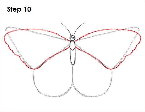 Butterfly Drawing 10 Draw Butterfly 10