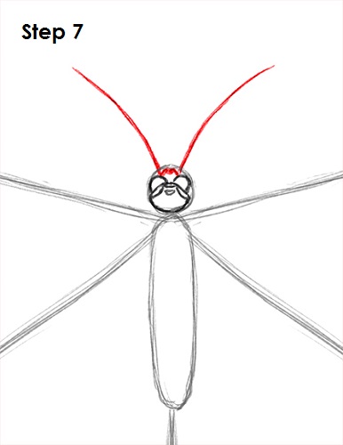 Draw Butterfly 7