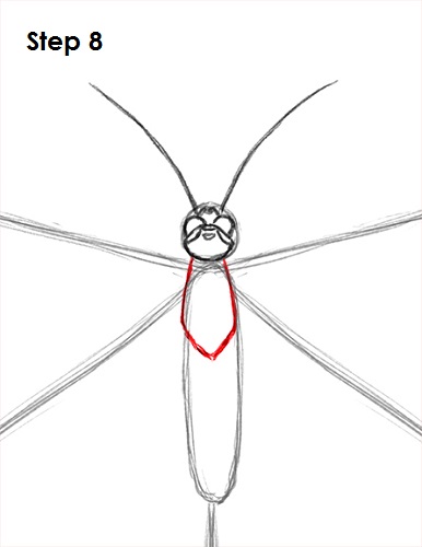 Draw Butterfly 8