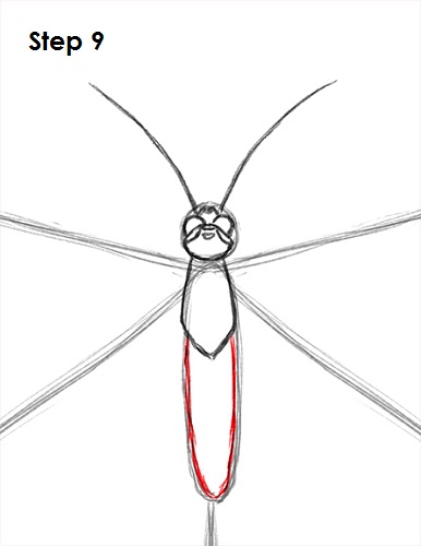 Draw Butterfly 9