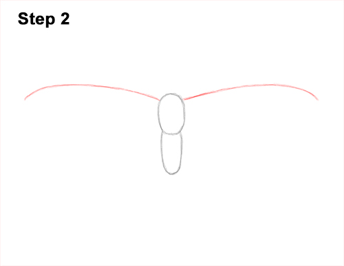Draw a Painted Lady Butterfly 2 How to Draw a Painted Lady Butterfly Wings 2