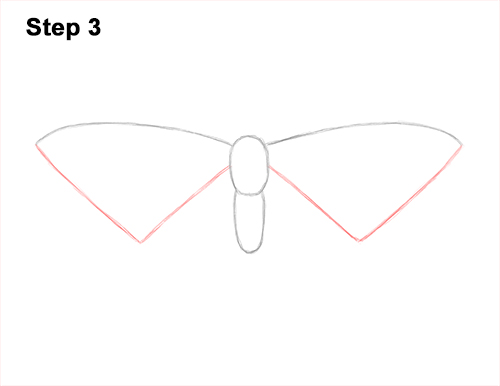 Draw a Painted Lady Butterfly 3 How to Draw a Painted Lady Butterfly Wings 3