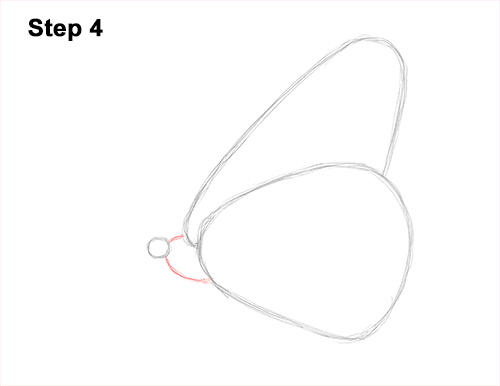 Draw a Monarch Butterfly Side 4 How to Draw a Monarch Butterfly Side Wings 4