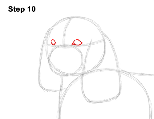 How to Draw a Cavalier King Charles Spaniel Puppy Dog 10