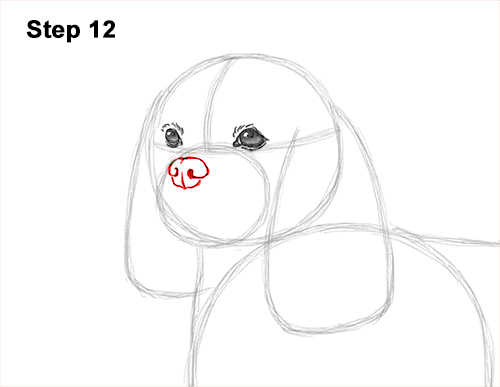 How to Draw a Cavalier King Charles Spaniel Puppy Dog 12