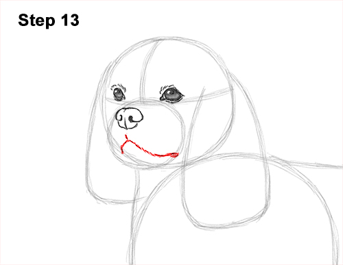 How to Draw a Cavalier King Charles Spaniel Puppy Dog 13