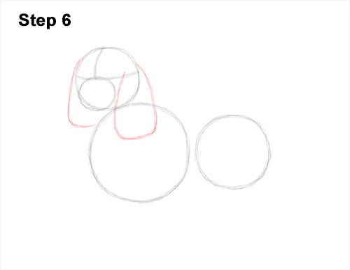 How to Draw a Cavalier King Charles Spaniel Puppy Dog 6