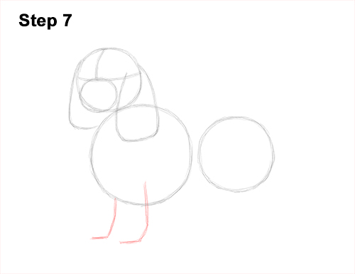 How to Draw a Cavalier King Charles Spaniel Puppy Dog 7