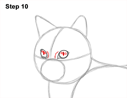Draw a Calico Cat Side 10 How to Draw a Calico Kitten Cat Orange Black 10