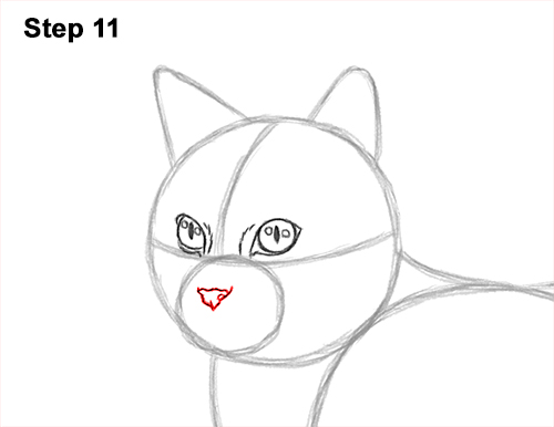 Draw a Calico Cat Side 11 How to Draw a Calico Kitten Cat Orange Black 11
