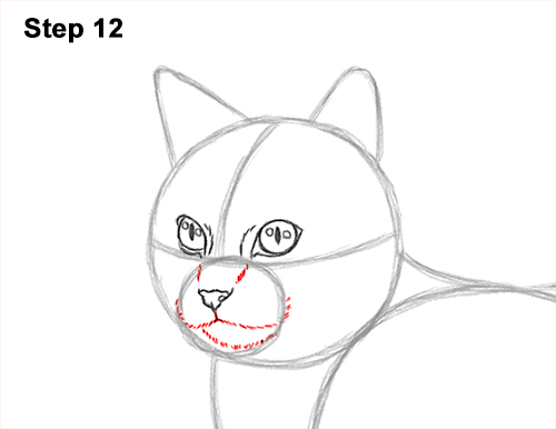 Draw a Calico Cat Side 12 How to Draw a Calico Kitten Cat Orange Black 12