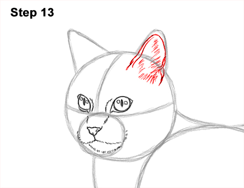 Draw a Calico Cat Side 13 How to Draw a Calico Kitten Cat Orange Black 13