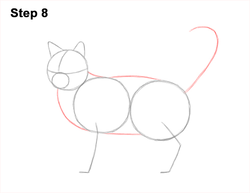 How to Draw a Calico Kitten Cat Orange Black 8