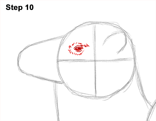 Draw a Bactrian Camel Two Humps 10