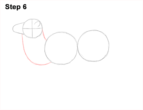 Bactrian Camel 6 Draw a Bactrian Camel Two Humps 6