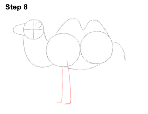 Bactrian Camel 8 Draw a Bactrian Camel Two Humps 8