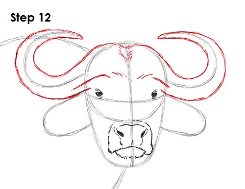 Draw African Cape Buffalo 12