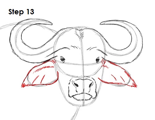 Draw African Cape Buffalo 13