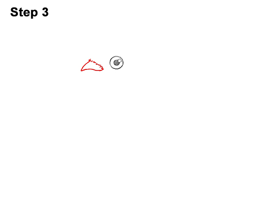 Draw a Cartoon Red Cardinal 3 How to Draw Cute Little Cartoon Red Cardinal Snow Berries 3