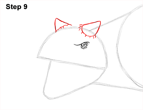 Draw Carnotaurus Dinosaur 9