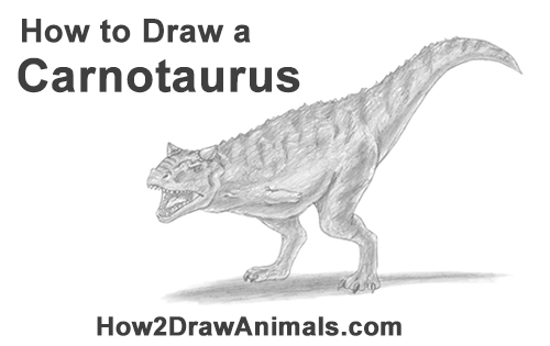 Draw a Carnotaurus How to Draw a Carnotaurus Dinosaur