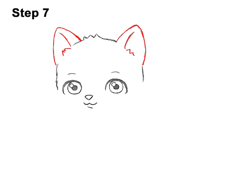 Cartoon Cat 7 Draw White Cartoon Cat Kitten Kitty 7