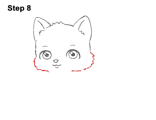 Cartoon Cat 8 Draw White Cartoon Cat Kitten Kitty 8