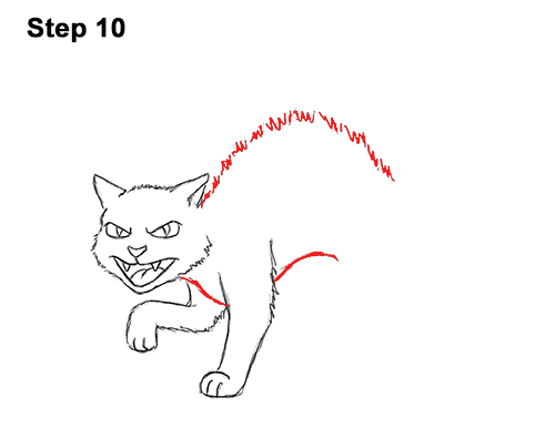 Draw a Angry Cartoon Black Cat 10 How to Draw Angry Mean Halloween Cartoon Black Cat arched back 10