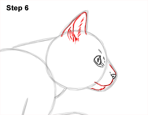 How to Draw a Cat Jumping Leaping Side View 6