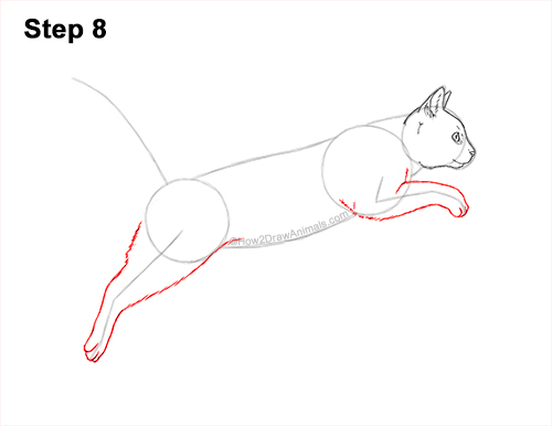 How to Draw a Cat Jumping Leaping Side View 8