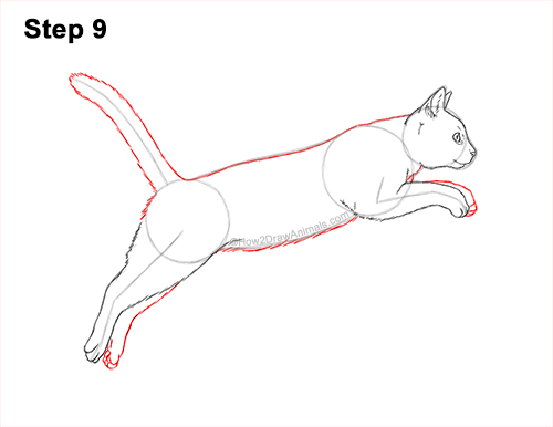 How to Draw a Cat Jumping Leaping Side View 9