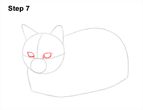 Draw a Cat Kitten Lying Bread Loaf 7 How to Draw a Tabby Kitty Cat Sitting Laying Roosting 7