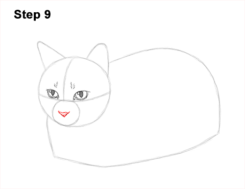 Draw a Cat Kitten Lying Bread Loaf 9 How to Draw a Tabby Kitty Cat Sitting Laying Roosting 9