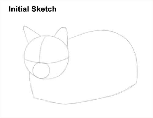 Draw a Cat Kitten Lying Bread Loaf Guidelines How to Draw a Tabby Kitty Cat Sitting Laying Roosting Guides Lines