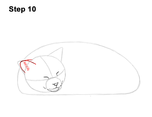 How to Draw a Cat Kitten Sleeping 10 How to Draw a Cat Kitten Sleeping 10