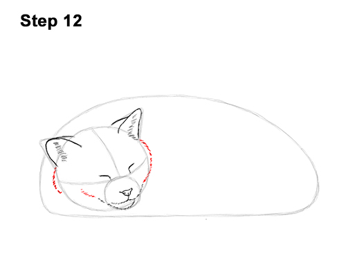 How to Draw a Cat Kitten Sleeping 12 How to Draw a Cat Kitten Sleeping 12