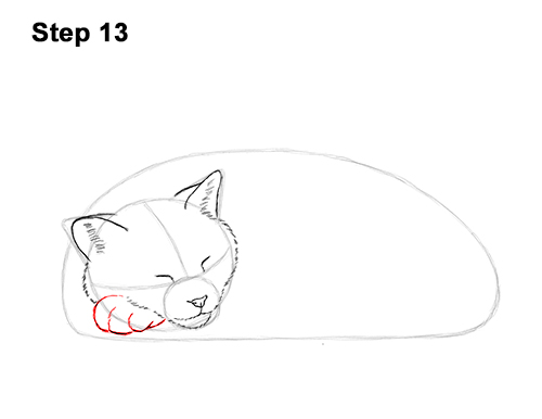 How to Draw a Cat Kitten Sleeping 13 How to Draw a Cat Kitten Sleeping 13