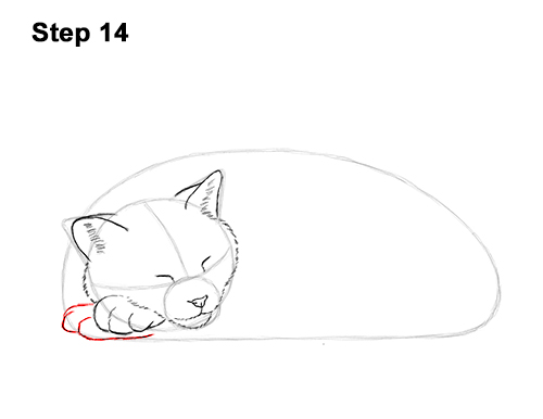 How to Draw a Cat Kitten Sleeping 14 How to Draw a Cat Kitten Sleeping 14
