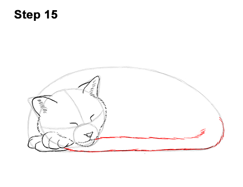 How to Draw a Cat Kitten Sleeping 15