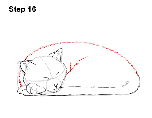 How to Draw a Cat Kitten Sleeping 16
