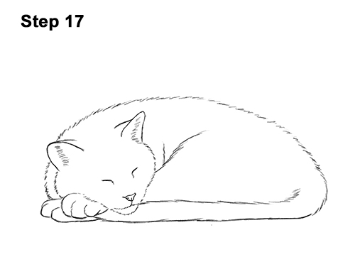How to Draw a Cat Kitten Sleeping 17