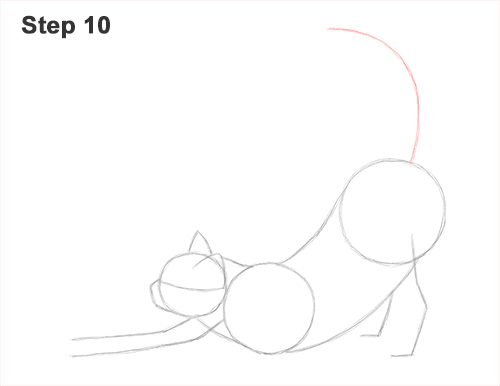 Draw a Tabby Cat Stretching 10 How to Draw a Tabby Kitten Cat Stretching 10
