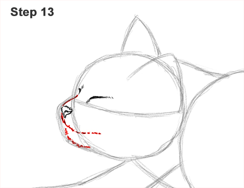Draw a Tabby Cat Stretching 13 How to Draw a Tabby Kitten Cat Stretching 13