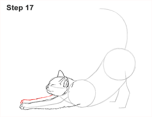 Draw a Tabby Cat Stretching 17 How to Draw a Tabby Kitten Cat Stretching 17