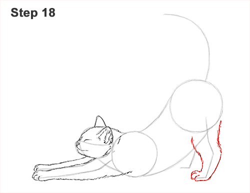 Draw a Tabby Cat Stretching 18 How to Draw a Tabby Kitten Cat Stretching 18