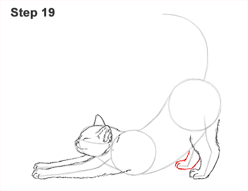 Draw a Tabby Cat Stretching 19 How to Draw a Tabby Kitten Cat Stretching 19