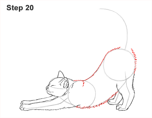 Draw a Tabby Cat Stretching 20 How to Draw a Tabby Kitten Cat Stretching 20