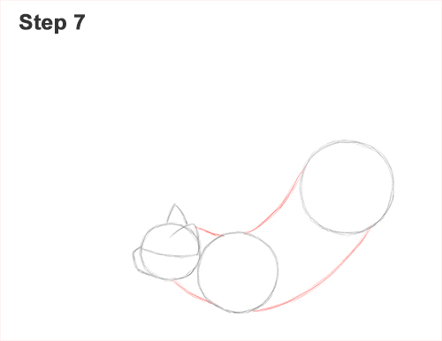 Draw a Tabby Cat Stretching 7 How to Draw a Tabby Kitten Cat Stretching 7