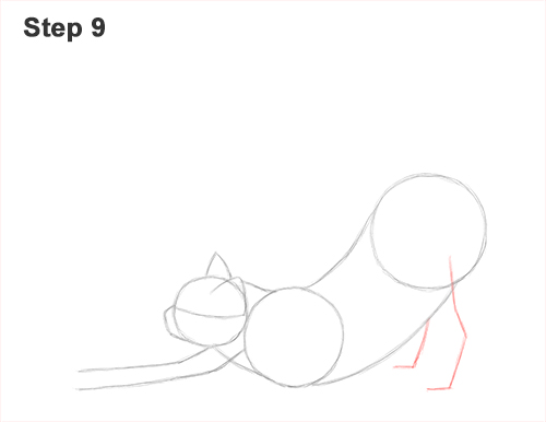 Draw a Tabby Cat Stretching 9 How to Draw a Tabby Kitten Cat Stretching 9