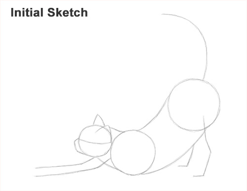 Draw a Tabby Cat Stretching Sketch How to Draw a Tabby Kitten Cat Stretching Initial Sketch
